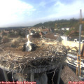 16_55-nest.jpg
