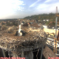 17_05-nest.jpg