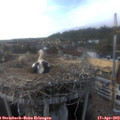 17_45-nest.jpg