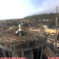 17_55-nest.jpg