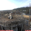 18_05-nest.jpg