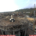 18_10-nest.jpg