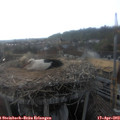 18_15-nest.jpg