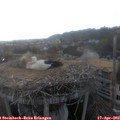 18_20-nest.jpg