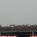 18_30-mast.jpg