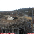 18_35-nest.jpg