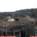 18_45-nest.jpg
