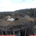 18_50-nest.jpg