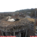 18_55-nest.jpg