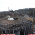 19_00-nest.jpg