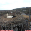 19_20-nest.jpg