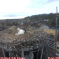 19_45-nest.jpg
