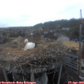 20_00-nest.jpg
