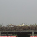 06_40-mast.jpg