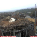 06_40-nest.jpg