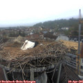 06_50-nest.jpg