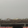 06_55-mast.jpg