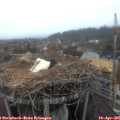 06_55-nest.jpg