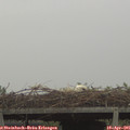 07_00-mast.jpg