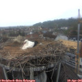 07_00-nest.jpg