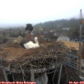 07_45-nest.jpg