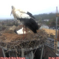 07_55-nest.jpg