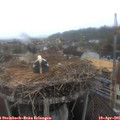 08_40-nest.jpg