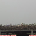 10_40-mast.jpg