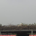 10_45-mast.jpg