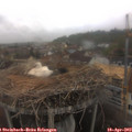 10_50-nest.jpg