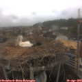 10_55-nest.jpg