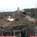 12_15-nest.jpg