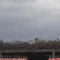 12_25-mast.jpg