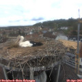 12_30-nest.jpg