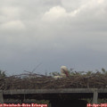 12_45-mast.jpg