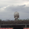 13_05-mast.jpg