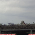 13_20-mast.jpg