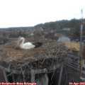 13_20-nest.jpg