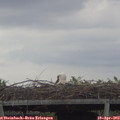 13_35-mast.jpg
