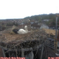 13_35-nest.jpg