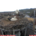 13_45-nest.jpg