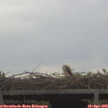 14_15-mast.jpg
