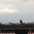 14_35-mast.jpg