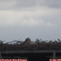 14_40-mast.jpg