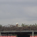 15_05-mast.jpg