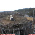 15_05-nest.jpg