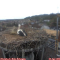 15_10-nest.jpg