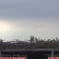 17_40-mast.jpg