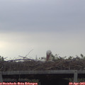 17_45-mast.jpg