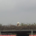 19_35-mast.jpg